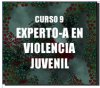 Curso Experto en Violencia Juvenil