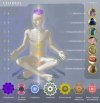 TERAPIA ENERGETICA VIBRACIONAL