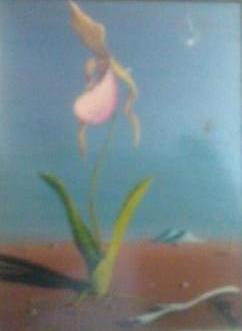 Jorge Noceda Snchez - 7 x 5