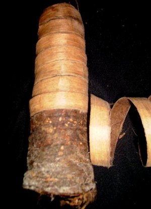 TABACO PURO Y COPAS DE AYAHUASCA