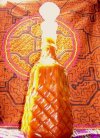 ESENCIA DE AYAHUASCA