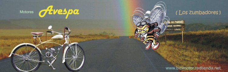 Bici Motor