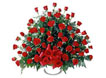 Rosas