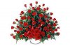 Rosas Maravillosas !!