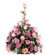 Belleza en Rosa