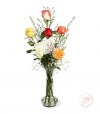 Amor Multicolor