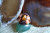 anillos con piedras