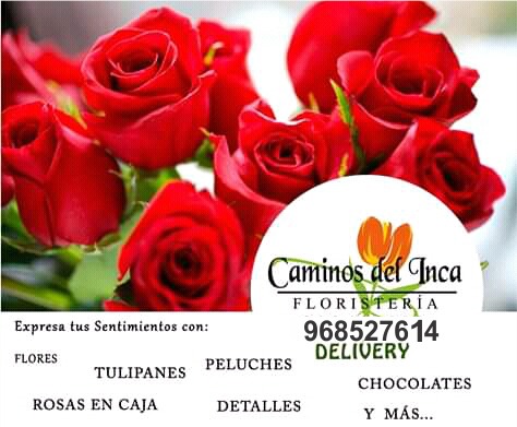 FLORISTERIA CAMINOS DEL INCA
