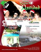 Fiestas de Navidad