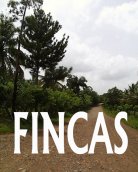 Fincas