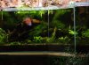 ACUARIO PANORAMICO