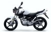 YAMAHA YBR125 ED