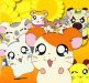 Hamtaro y los Hams Hams