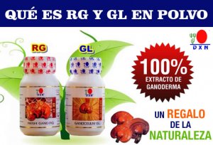RG y GL DXN