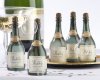 Burbujas Botella de Champagne