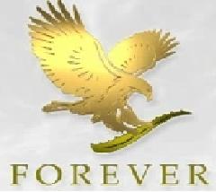 Aloe Vera Forever Living www.dinerosinfin.ws