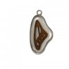 Butterfly wing