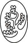 Mangrove tree oval