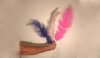 Plumas sueltas