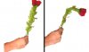 Flor que saluda