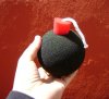 Bomba de esponja