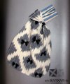 Bolso Ref: X_001