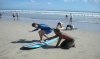 Pichilemu Adventure