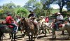 Cabalgatas Altos de Lircay