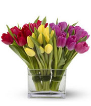 Florero de treinta tulipanes