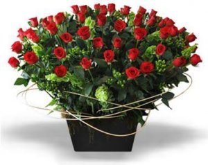 Arreglo de 100 rosas rojas