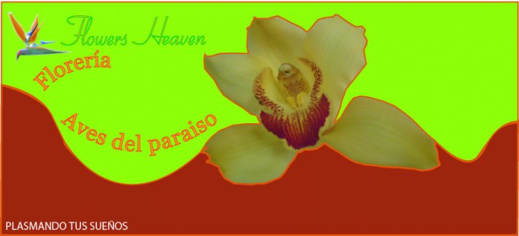 Aves del Para�so