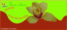 Aves del Para�so