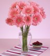 Arreglo de Gerberas