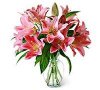 Arreglo de Flores Lillies