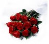 Ramo de 12 Rosas en Papel Celof�n