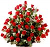 Arreglo de 75 Rosas