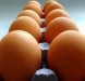 Huevos
