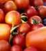 Tomates