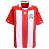 CAMISETA PARAGUAY LOCAL 2010-2011
