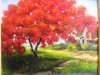 flamboyan