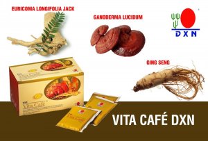 Vita Cafe (6 en 1)