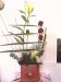 ARREGLO DE FLORES / LINEAS DE AMOR