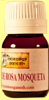 Rosa mosqueta