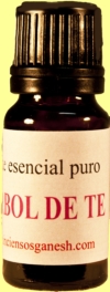 ARBOL DE TE(Melaleuca alternifolia))