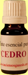 CEDRO (Cedrus atlantica)