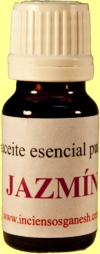 JAZM�N (Jasminum officinale)