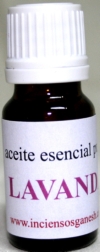 LAVANDA(Lavandula angustifolia)