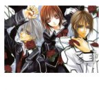 Vampire Knight