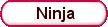 * SHINOBI