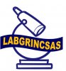 LABGRINCSA